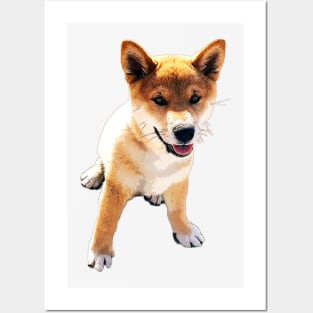 Shiba Inu Puppy Dog Posters and Art